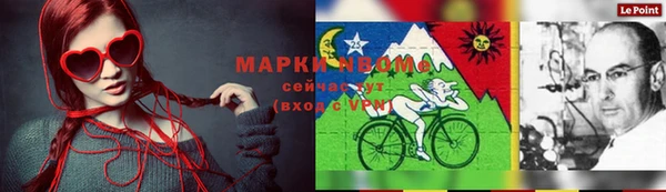 гидропоника Каменка