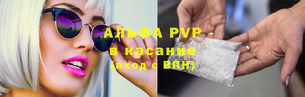 гидропоника Каменка