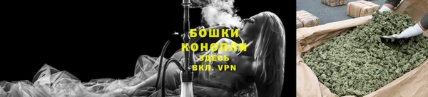 гидропоника Каменка