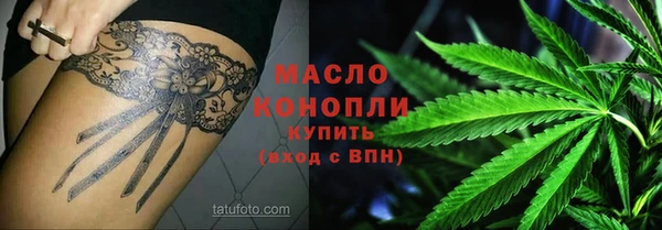 гидропоника Каменка
