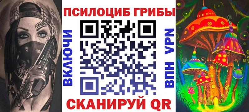 Купить закладки  Новомичуринск  Галлюциногенные грибы GOLDEN TEACHER 